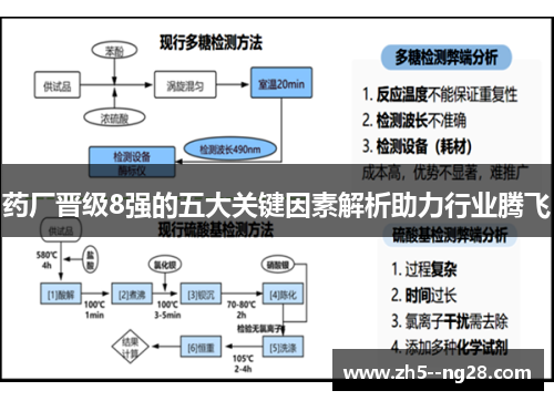 药厂晋级8强的五大关键因素解析助力行业腾飞