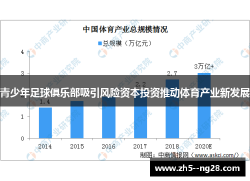 青少年足球俱乐部吸引风险资本投资推动体育产业新发展 青少年足球俱乐部吸引风险资本投资推动体育产业新发展