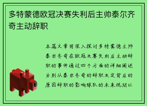 多特蒙德欧冠决赛失利后主帅泰尔齐奇主动辞职