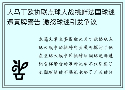 大马丁欧协联点球大战挑衅法国球迷遭黄牌警告 激怒球迷引发争议